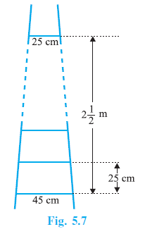 Page 115 Chapter 5 Class 10th Non-Rationalised NCERT 2019-20